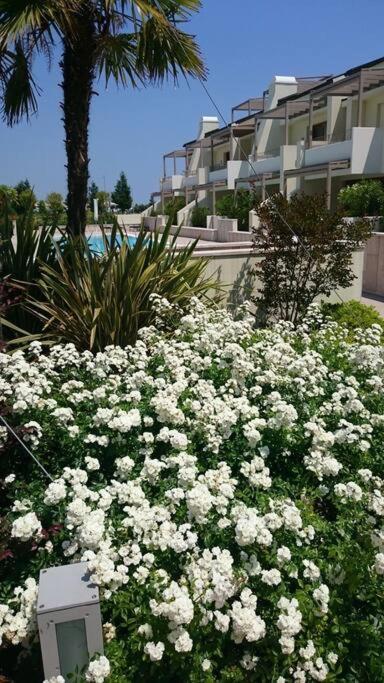 Residence Jesolo Lido Centro Con Piscina Exteriér fotografie