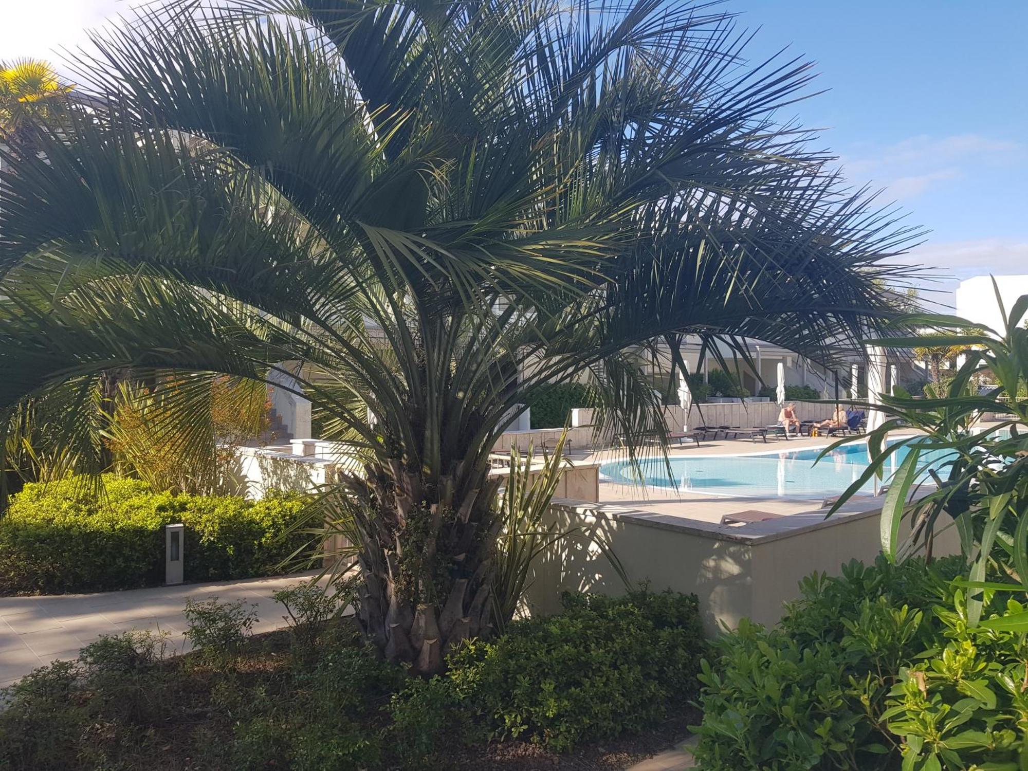Residence Jesolo Lido Centro Con Piscina Exteriér fotografie